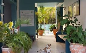 Delphinus Inn